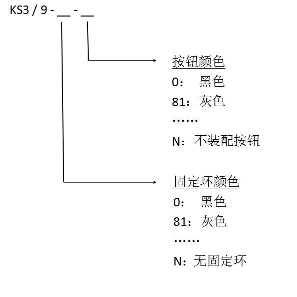 KS3中文修改.jpg